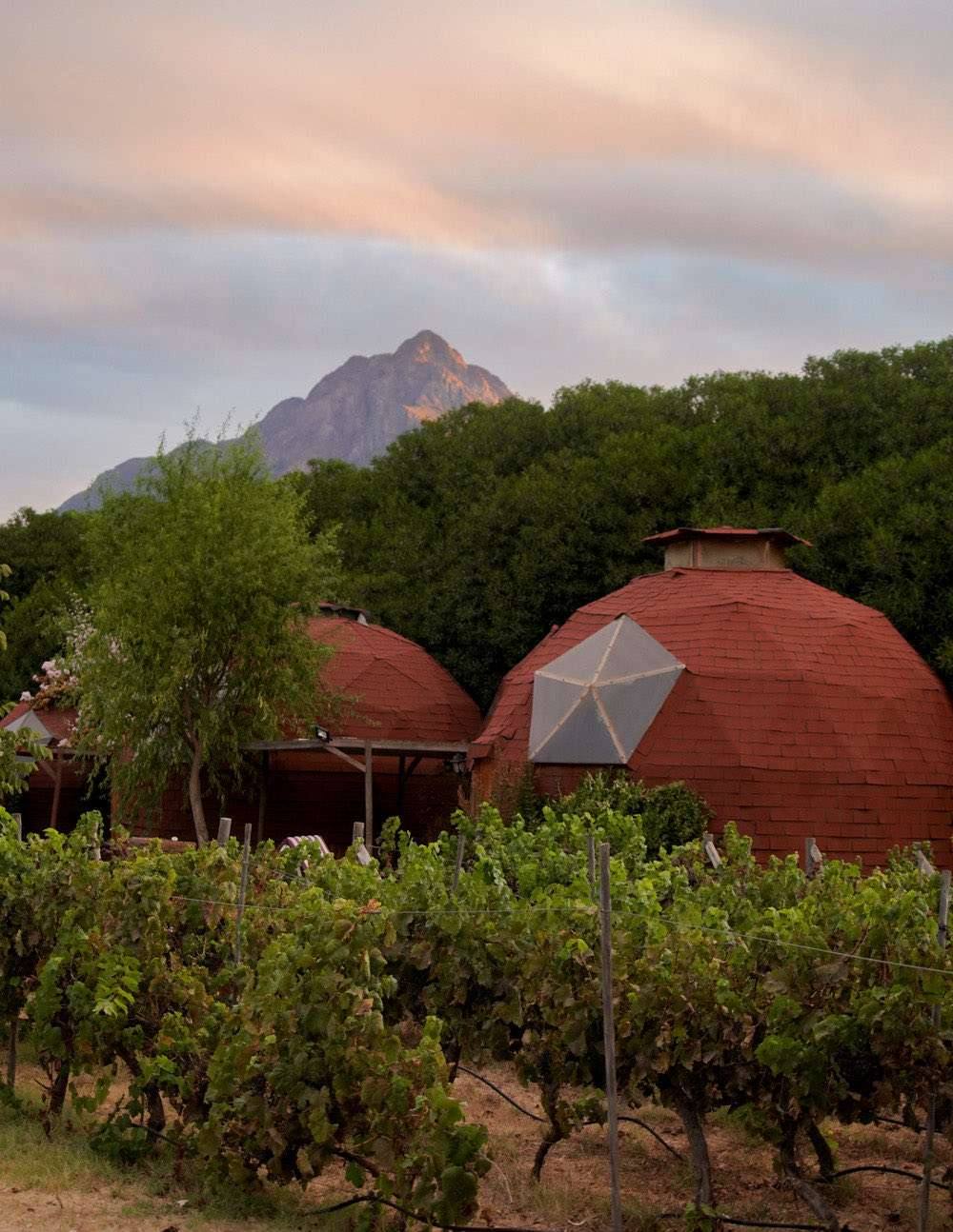 Domos entre viñas con La Campana de fondo en otoño