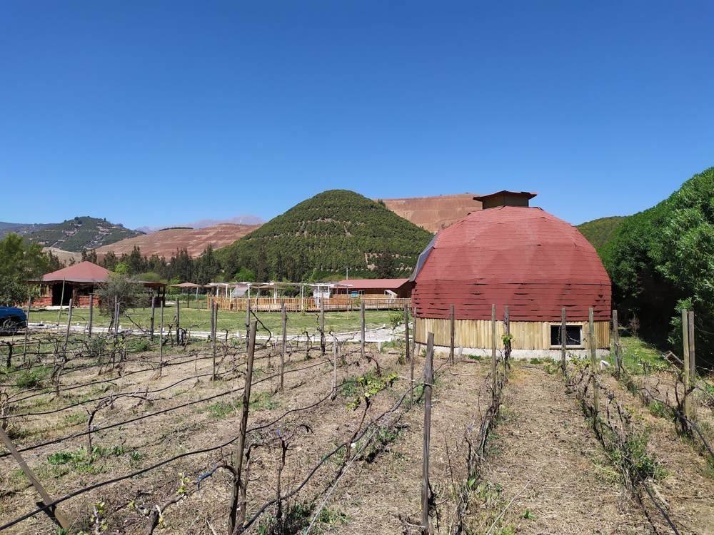 Domo junto al viñedo