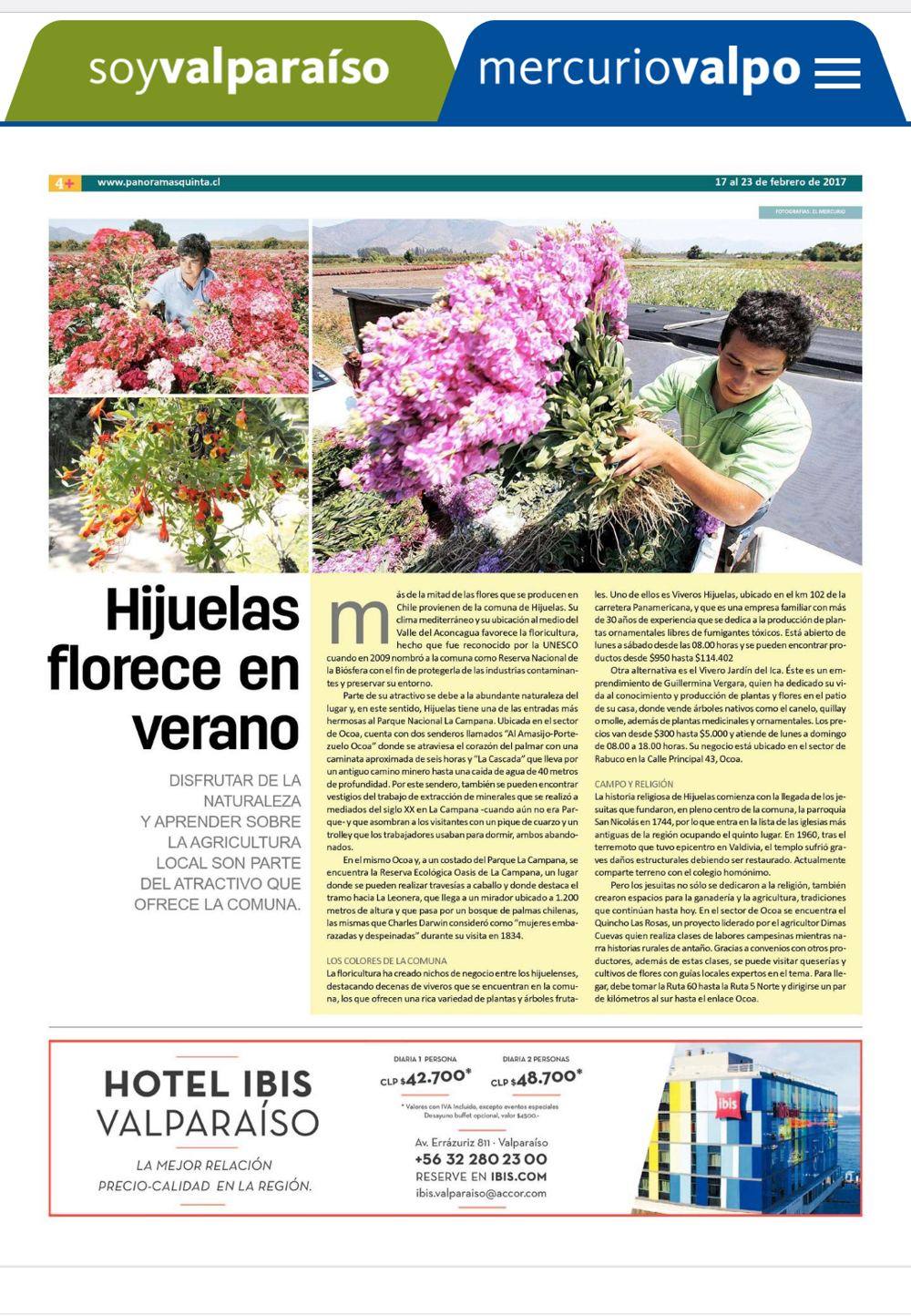 Reportaje 'Hijuelas florece en verano', El Mercurio de Valparaíso